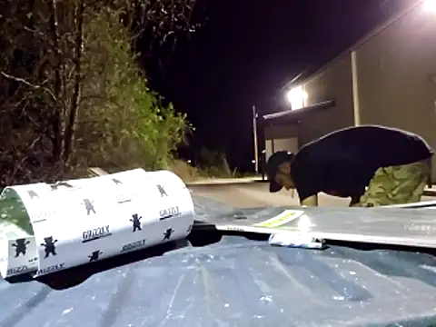 sloppytopkins online show from 04-11-26, 06:07