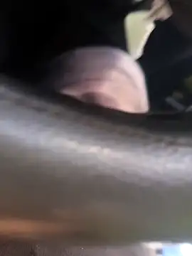 Frank0021 online show from 11-04-25, 05:34