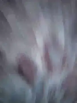 Snapshot of Aliyeni1 chatting on 04-17-26, 12:08 Aliyeni1 online show from 04-17-26, 12:08