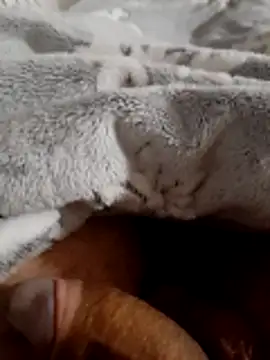 ratoncito 3 online show from 11-16-25, 02:06