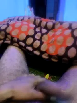 Snapshot of pppppp7811 chatting on 02-14-26, 05:43 pppppp7811 online show from 02-14-26, 05:43