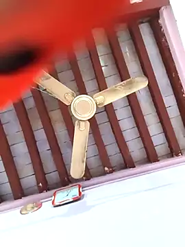 Love-pari077 online show from 02-05-26, 02:33