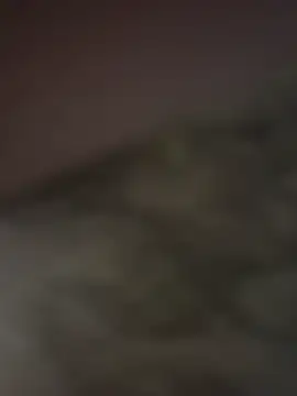 Snapshot of gigoloboymumbai00 chatting on 10-23-25, 08:07 gigoloboymumbai00 online show from 10-23-25, 08:07