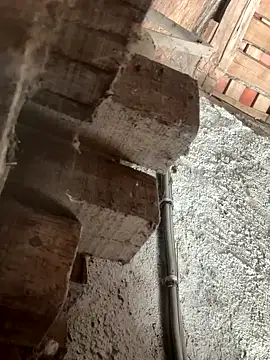 fcach2244 online show from 09-09-25, 08:25