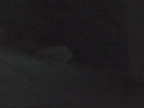 sarahkat86 online show from 10-30-25, 01:01