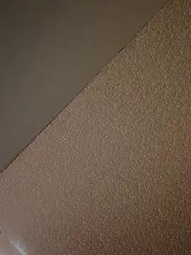 sarahkat86 online show from 12-17-25, 01:50