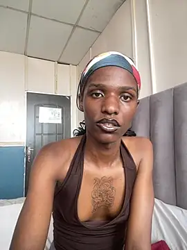 Snapshot of Trans_fairy chatting on 02-13-26, 01:07 Trans fairy online show from 02-13-26, 01:07