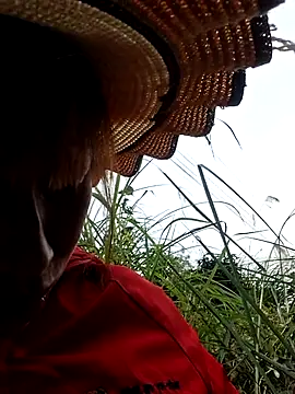 ngocngoc cute online show from 01-14-26, 06:19