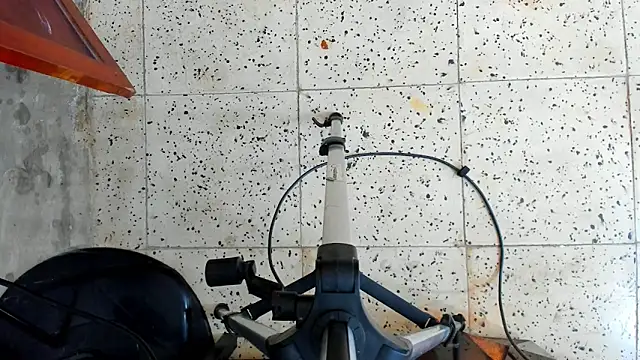 David niet online show from 10-16-25, 05:47