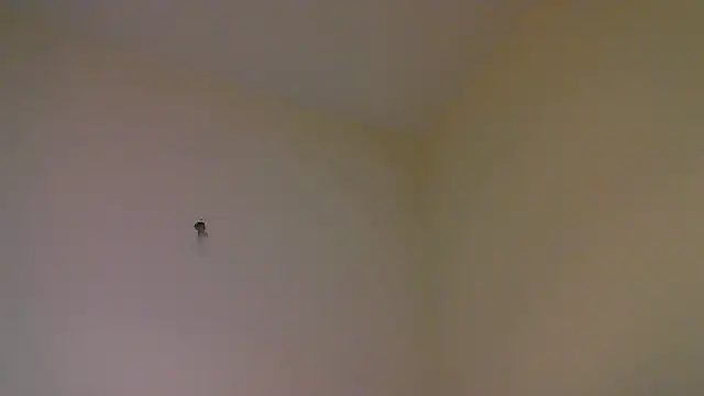 Snapshot of str8matesirishoz chatting on 10-15-25, 04:01 str8matesirishoz online show from 10-15-25, 04:01