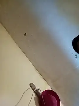 RandalHot online show from 11-27-25, 09:39