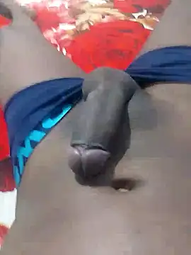 gatooo preto online show from 01-16-26, 05:28