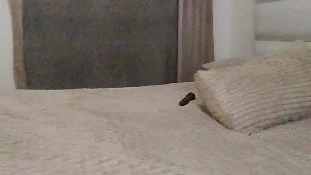 SexyNonnyy online show from 10-10-25, 06:40