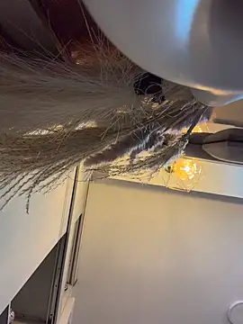 Snapshot of YouCandiSumisa chatting on 03-22-26, 04:27 YouCandiSumisa online show from 03-22-26, 04:27