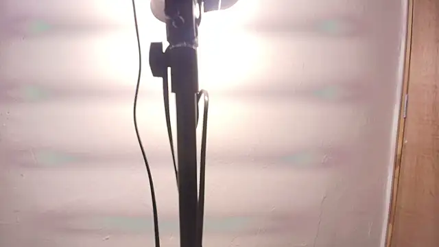 Snapshot of Terraelowen chatting on 02-25-26, 11:31 Terraelowen online show from 02-25-26, 11:31