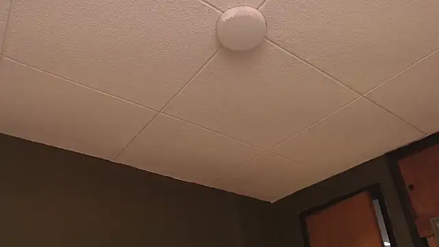 PaulEvens online show from 10-17-25, 01:25