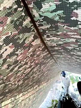 Alabestia12 online show from 11-11-25, 11:21