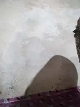 big booty15 online show from 10-05-25, 02:32