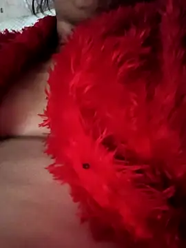 heena3355 online show from 11-20-25, 04:12