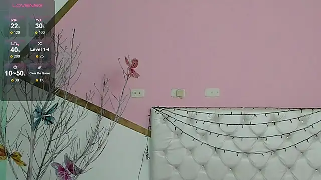 sofi san online show from 01-12-26, 01:38