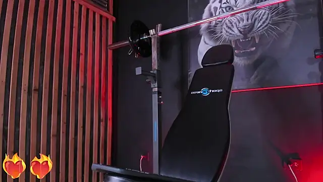 Snapshot of DimitriDeluxe chatting on 11-03-25, 08:10 DimitriDeluxe online show from 11-03-25, 08:10