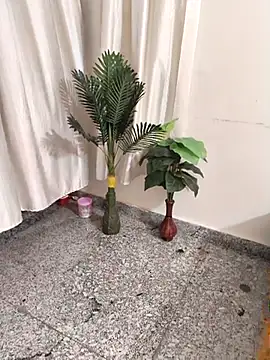 Snapshot of Shalu_G chatting on 09-28-25, 05:40 Shalu G online show from 09-28-25, 05:40