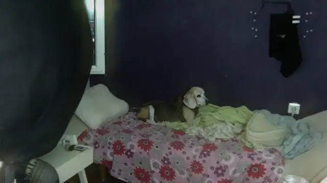 Snapshot of turkishTransEfsun chatting on 09-13-25, 01:11 turkishTransEfsun online show from 09-13-25, 01:11