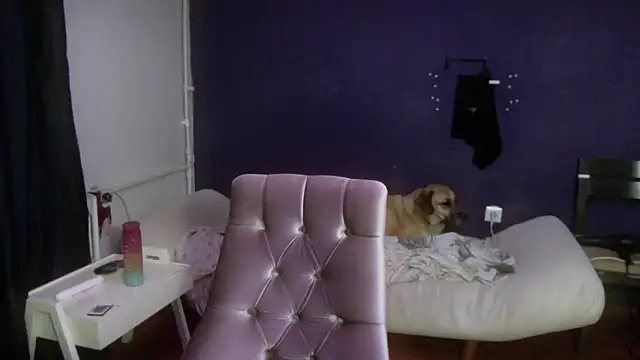 Snapshot of turkishTransEfsun chatting on 10-02-25, 03:35 turkishTransEfsun online show from 10-02-25, 03:35