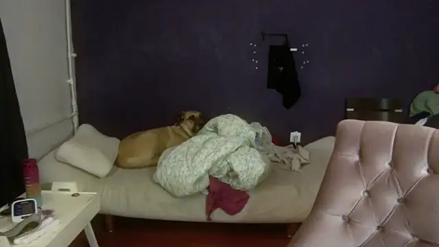 Snapshot of turkishTransEfsun chatting on 11-03-25, 10:05 turkishTransEfsun online show from 11-03-25, 10:05