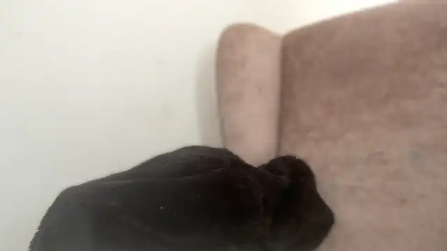 Curvysapphire online show from 04-20-26, 01:25