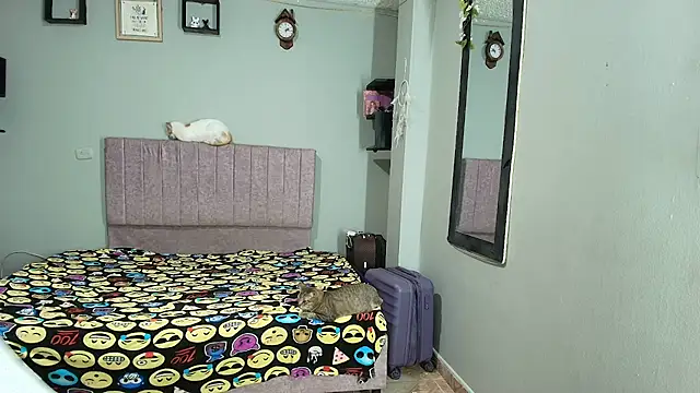MiSofialeal online show from 07-11-26, 07:16