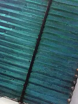 veronica and bryan online show from 09-14-25, 03:49