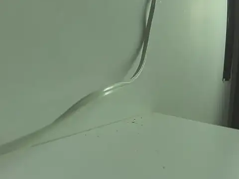 BrigthIbarra online show from 11-12-25, 02:23