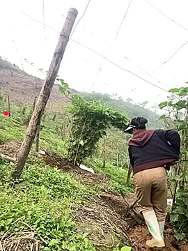 Snapshot of Huong-Ly chatting on 03-27-26, 08:20 Huong-Ly online show from 03-27-26, 08:20