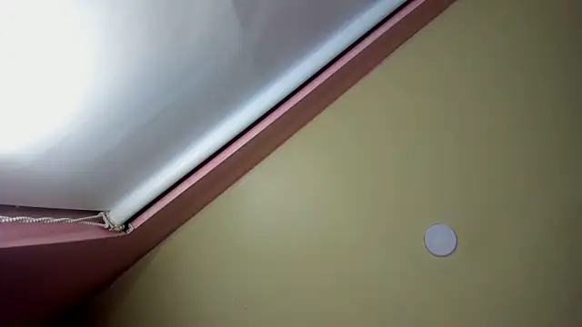 StarletTays online show from 11-28-25, 09:50