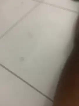 novin21rj online show from 04-07-26, 12:55