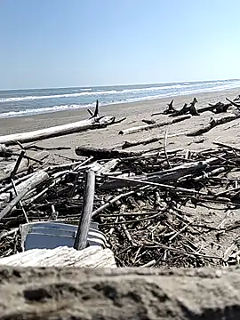 pegaso369 online show from 03-28-26, 11:10