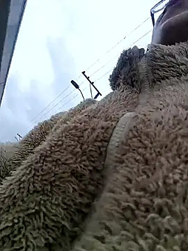 Snapshot of Engeelll chatting on 03-18-26, 06:11 Engeelll online show from 03-18-26, 06:11