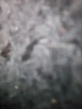 Romance32 online show from 11-03-25, 07:31