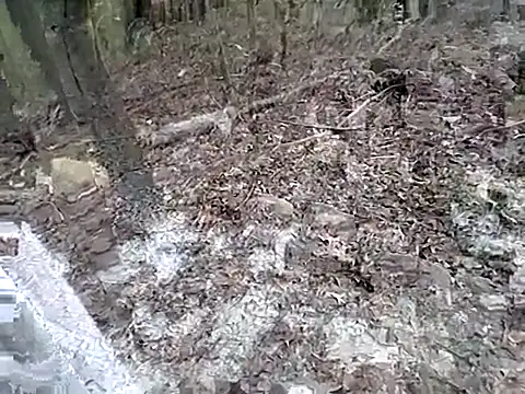 fischnet online show from 09-20-25, 10:55