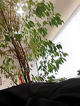 Snapshot of Emily_de_Carla chatting on 09-24-25, 03:26 Emily de Carla online show from 09-24-25, 03:26