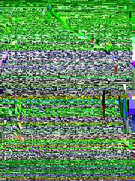 OrchidBae online show from 10-08-25, 12:25