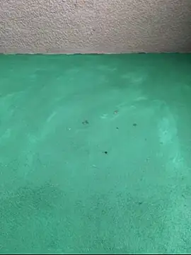 carlo20n online show from 10-16-25, 07:15