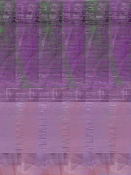 Snapshot of its_Surya_BBC chatting on 12-04-25, 07:44 its Surya BBC online show from 12-04-25, 07:44