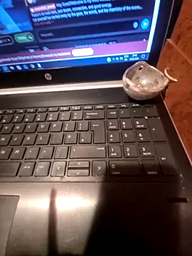 Snapshot of Lawrence067 chatting on 03-24-26, 07:41 Lawrence067 online show from 03-24-26, 07:41