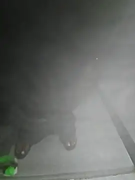 LundBoyram online show from 10-28-25, 07:34