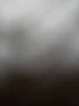 sanf8z online show from 10-16-25, 06:25