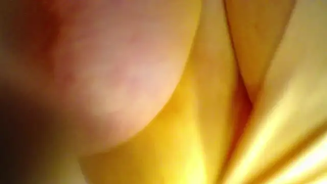 AntonellaRicher online show from 09-26-25, 01:42