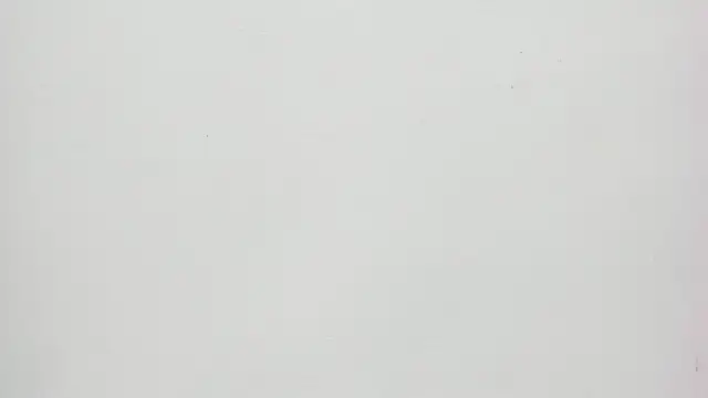 Saammy 17 online show from 09-20-25, 08:21