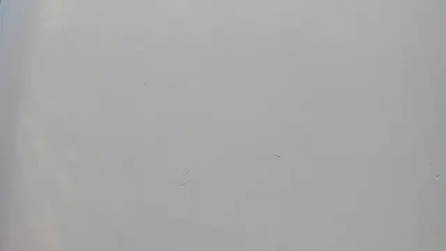 Saammy 17 online show from 09-25-25, 08:23